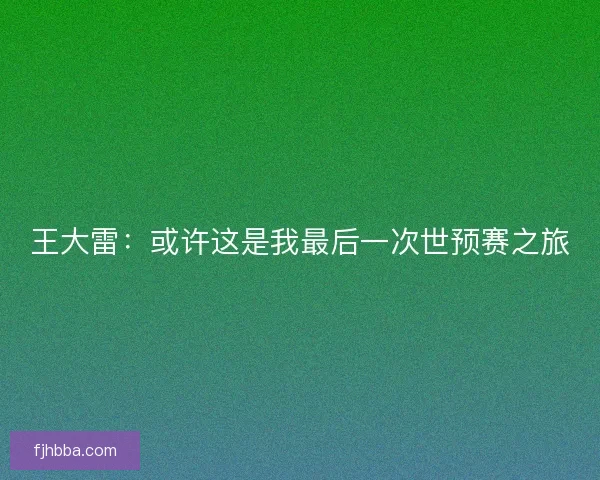 王大雷：或许这是我最后一次世预赛之旅