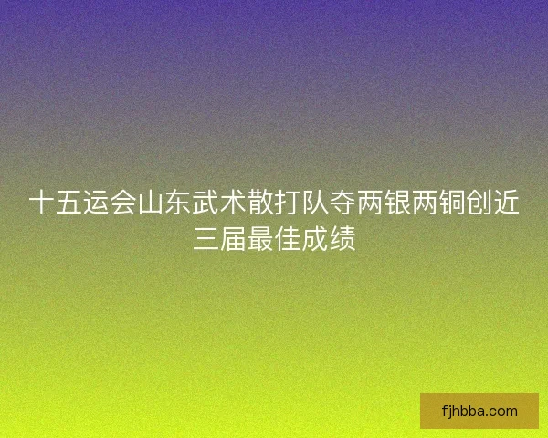 十五运会山东武术散打队夺两银两铜创近三届最佳成绩